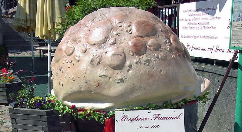 MeissnerFummel-Meissen-Saksen-familievakanties.nl
