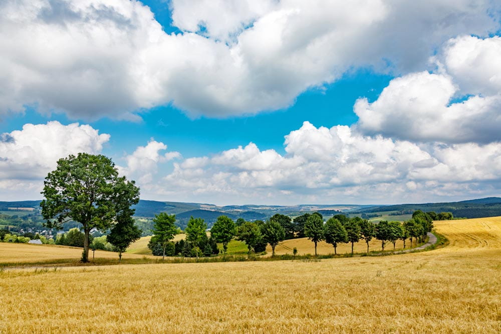 Sachsen-Erzgebirge-Schwarzenberg-Familievakanties.nl