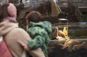 Dierentuin-Zoo-Halle-Bergzoo-Saksen-Anhalt-Familievakanties.nl