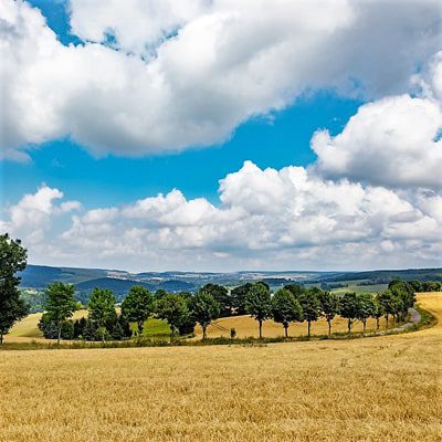 Sachsen-Erzgebirge-Schwarzenberg-Familievakanties.nl
