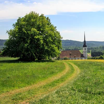 Saksen-Oberlausitz-Cunewald-familievakanties.nl